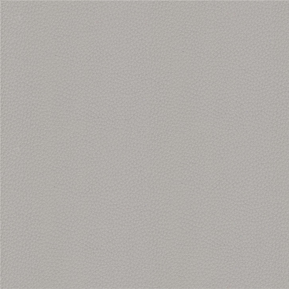 Leather and Fabric Samples | S10Home